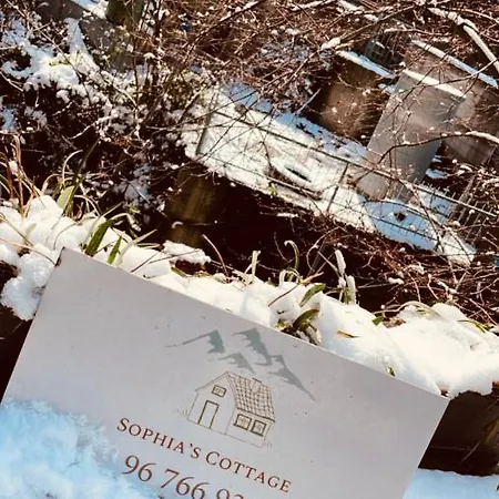 住宿加早餐酒店 Sophias