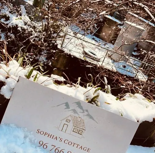 Bed and breakfast Sophias