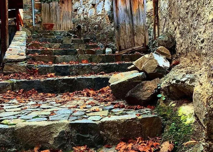 Bed & Breakfast Sophias