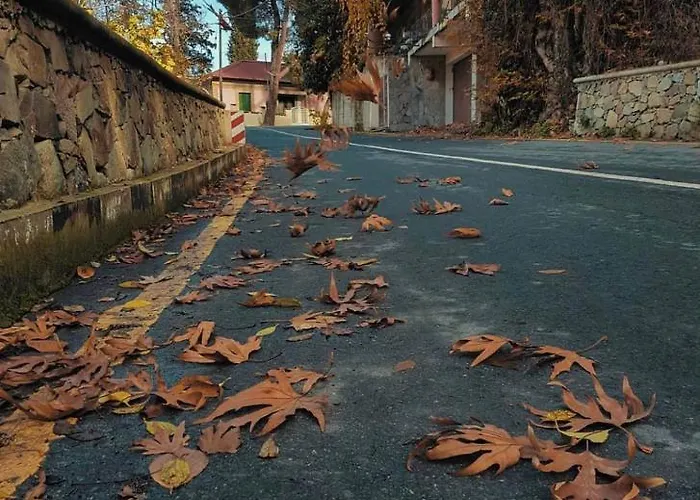 Bed & Breakfast Sophias Askas